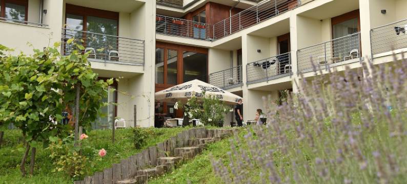 Bonvino葡萄酒和Spa酒店(Hotel Bonvino Wine & Spa)图片