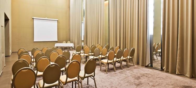 圣若昂达马德拉郁锦香酒店(Golden Tulip Sao Joao Da Madeira Hotel)图片