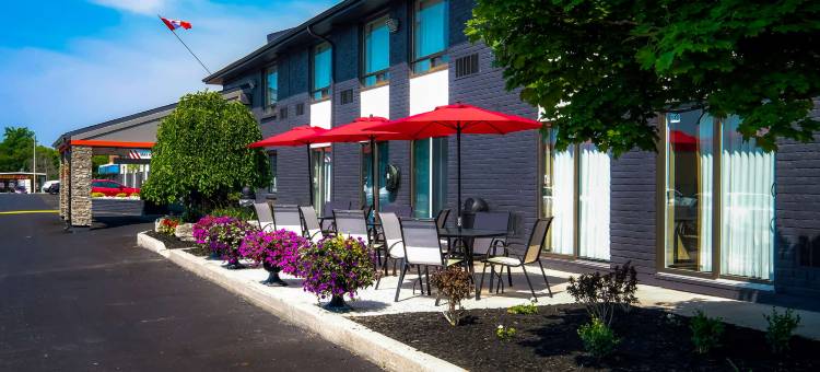 贝勒维尔舒适酒店(Comfort Inn)图片