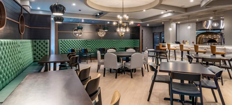 谢尔比镇-底特律坎布里亚酒店(Cambria Hotel Detroit-Shelby Township)图片