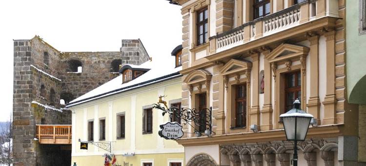 金鹿酒店(Hotel Zum Goldenen Hirschen)图片