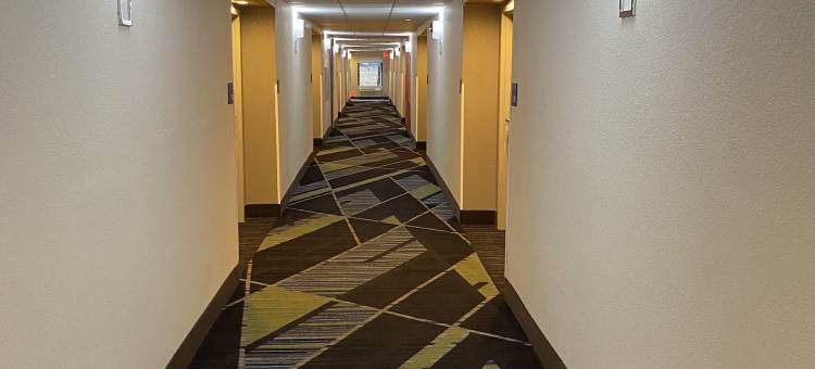 大都市智选假日酒店(Holiday Inn Express Metropolis)图片