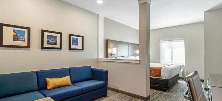 格罗夫城 - 南哥伦布舒适套房酒店(Comfort Suites Grove City - Columbus South)图片