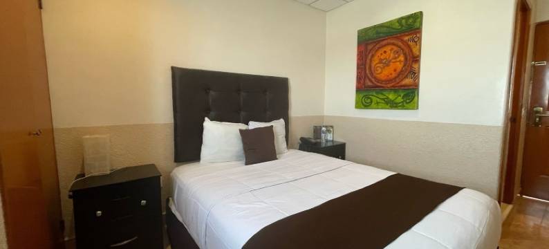 富豪酒店(El Regio)图片