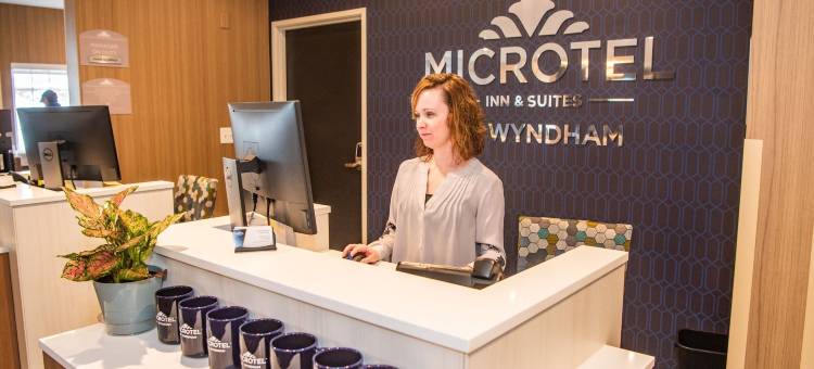 卡莱尔温德姆麦客达套房酒店(Microtel Inn & Suites by Wyndham Carlisle)图片