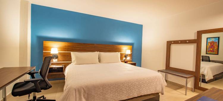 梅尼达中心智选假日酒店(Holiday Inn Express Merida Centro)图片