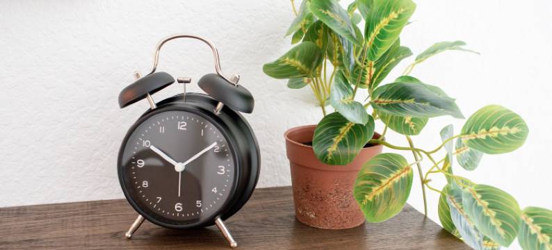 皮埃布洛的小屋(Casitas en Pueblo)图片