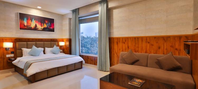古尔冈克莱因酒店(Clay Inn Hotel Gurugram)图片