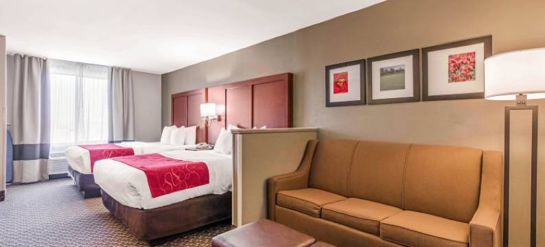 塔斯卡卢萨大学附近舒适全套房酒店(Comfort Suites Tuscaloosa Near University)图片