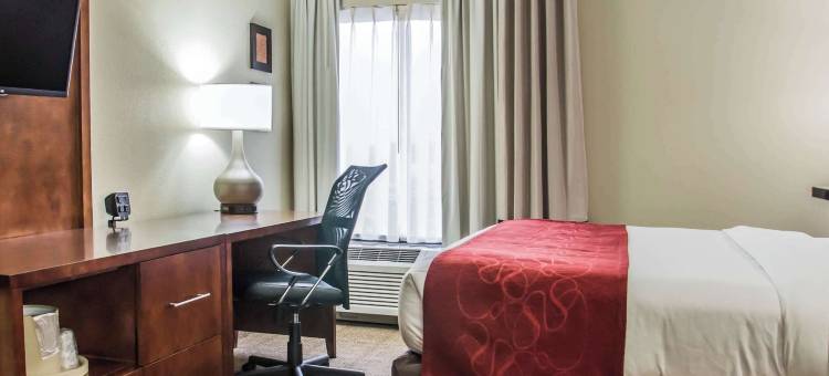 舒适套房酒店-大学科研园(Comfort Suites University - Research Park)图片