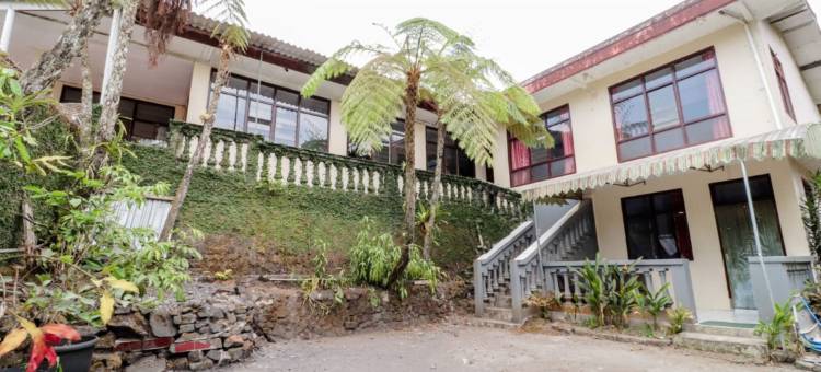 塞代拉哈尤住宿酒店(Penginapan Sedyo Rahayu)图片