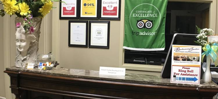 巴尔萨姆精品住宅酒店(Balsam Suites Boutique Inn & Residence)图片