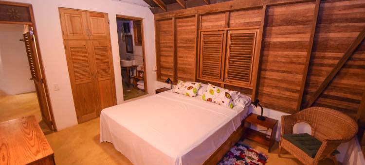 克拉夫弗德生态山林小屋(Clave Verde Ecolodge)图片