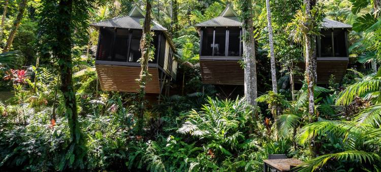 戴因树雨林生态旅馆(Daintree Eco Lodge)图片