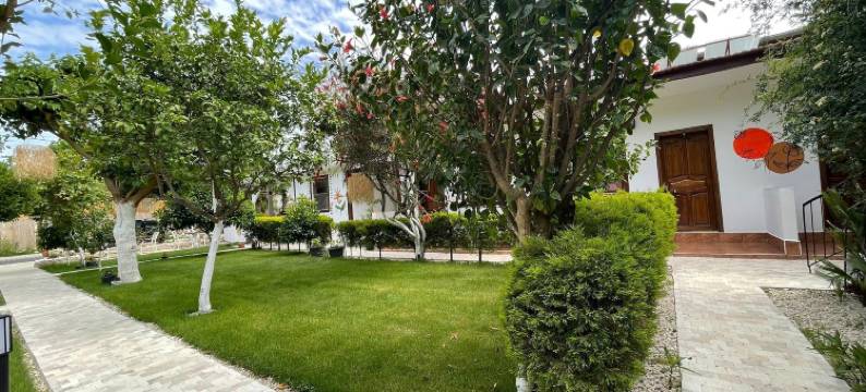 阿里坎旅馆(Alican Pension)图片