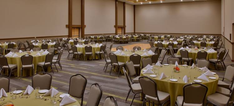 伊拉普阿托广场画廊(Galeria Plaza Irapuato)图片