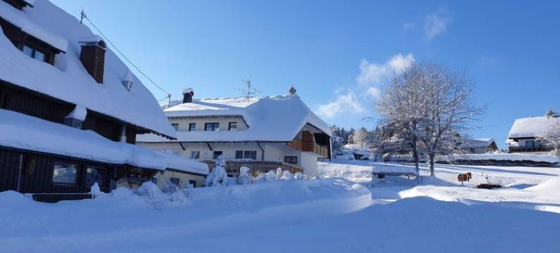 巴特尔霍夫农村酒店(Landhotel Bartlehof)图片