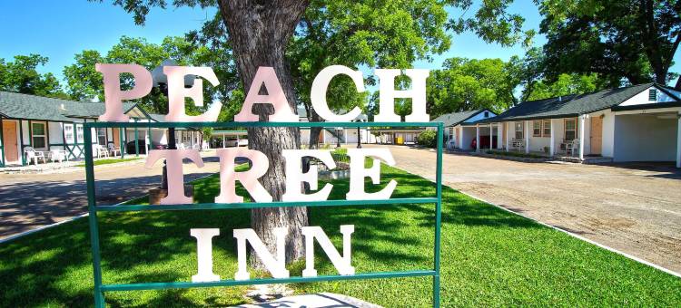 皮齐特瑞酒店(Peach Tree Inn & Suites)图片