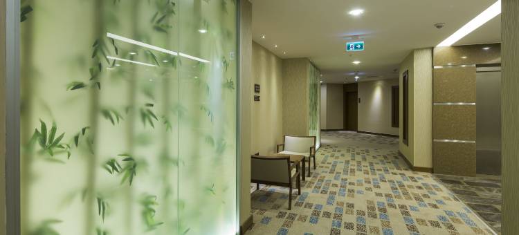 加济安泰普市中心希尔顿欢朋酒店(Hampton by Hilton Gaziantep City Centre)图片