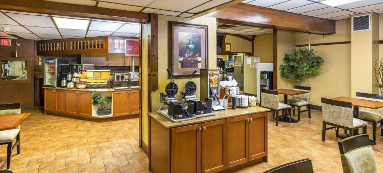 舒适酒店及套房(Comfort Inn & Suites)图片