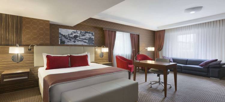 伊兹米特温德姆华美达广场酒店(Ramada Plaza by Wyndham Izmit)图片