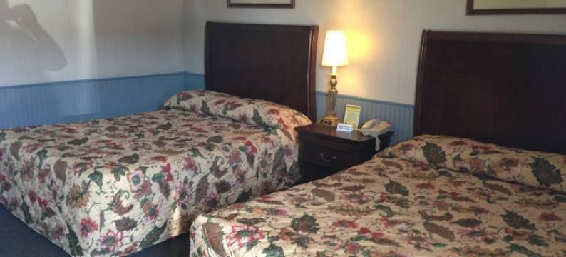 冷水溪卡德特汽车旅馆(Cadet Motor Inn)图片