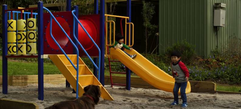 钻石林场农家乐(Diamond Forest Farm Stay)图片