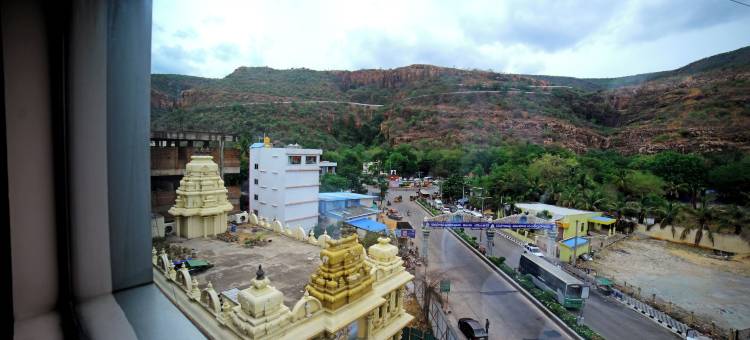 提鲁帕提拉吉公园酒店(Raj Park- Hill View)图片