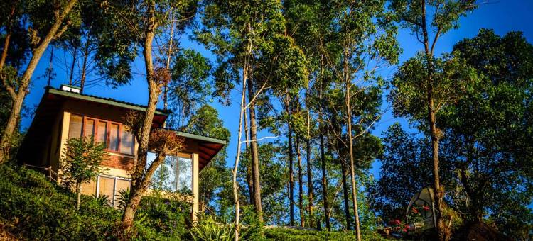 茶屋水疗度假村(Tea Cottage Resort & Spa)图片