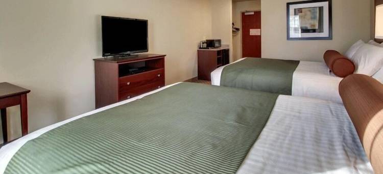 鹅卵石阿塔蒙特套房旅馆(Cobblestone Inn & Suites - Altamont)图片