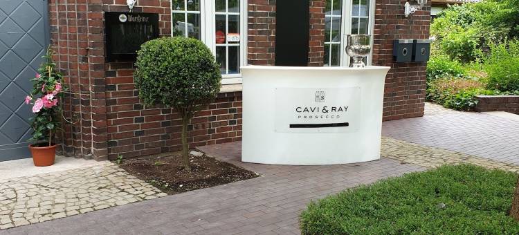 船长酒店(Hotel El Capitan)图片