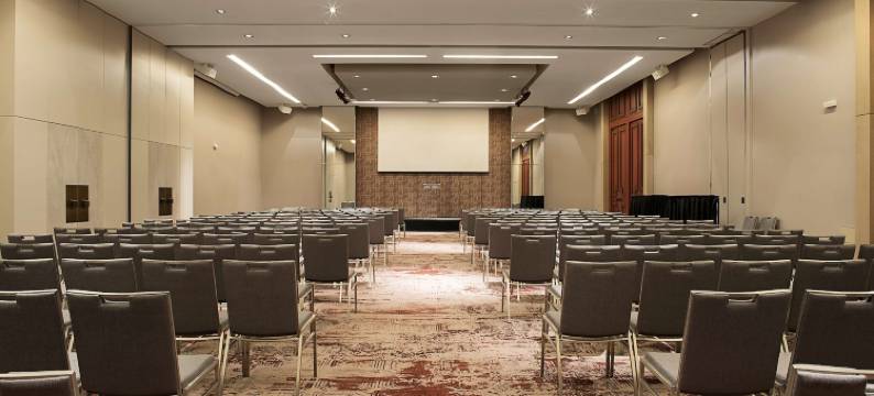 蒙得维的亚凯悦尚萃酒店(Hyatt Centric Montevideo)图片