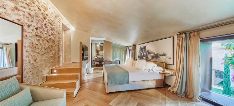 克鲁新小宫殿艺术 Spa 酒店(Sa Creu Nova Petit Palais Art & Spa)图片