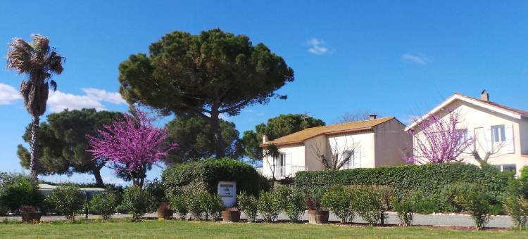 欧瑞维尼斯酒店(A l'Orée des Vignes)图片