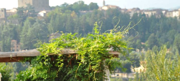 拉特罗瑟拉餐厅酒店(Albergo Ristorante la Torricella)图片