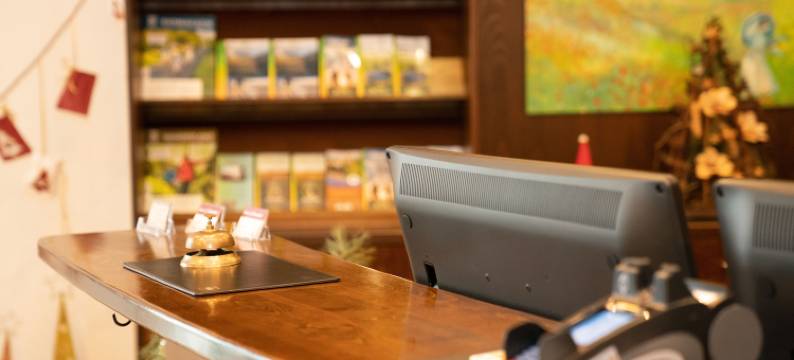 勒文斯特酒店(Hotel Löwenstein)图片