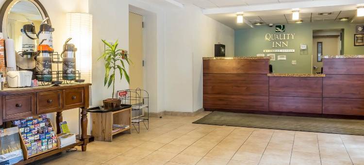 凯艺酒店-弗拉明戈(Quality Inn Flamingo)图片