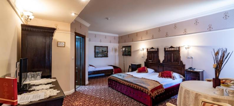 蒂米什瓦拉卡萨德尔索雷精品酒店(Hotel Boutique Casa del Sole)图片