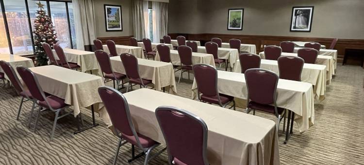 舒适酒店, 松树山 - 南派恩斯(Comfort Inn Pinehurst - Southern Pines)图片