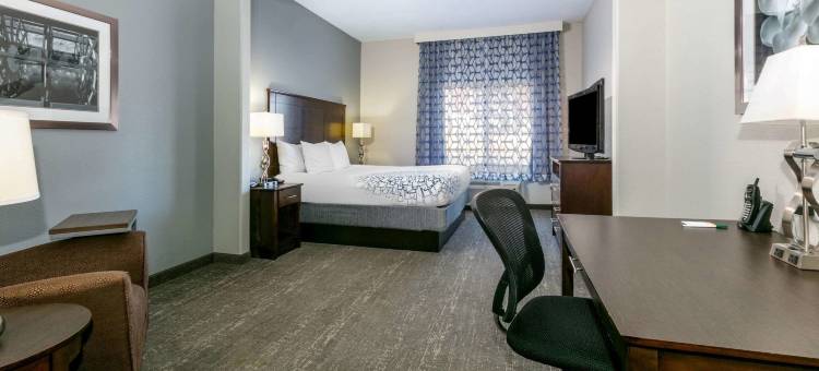 霍恩莱克南海文区拉昆塔温德姆套房酒店(La Quinta Inn & Suites by Wyndham Horn Lake / Southaven Area)图片