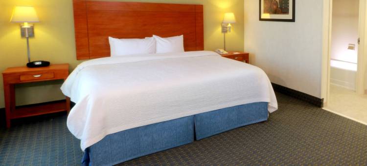 希尔顿欢朋酒店-雷诺萨/工业区(Hampton Inn by Hilton Reynosa/Zona Industrial)图片