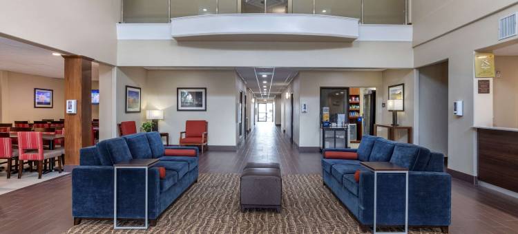 舒适套房酒店-近德克萨斯医学中心NRG体育场(Comfort Suites Near Texas Medical Center - NRG Stadium)图片