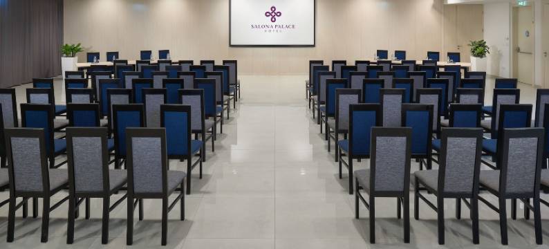 萨罗纳宫酒店(Hotel Salona Palace)图片