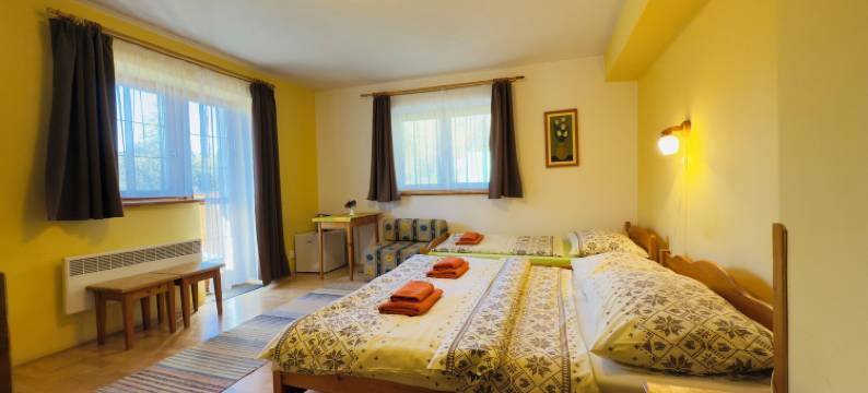 帕兹克宾馆(Penzion Pažický)图片