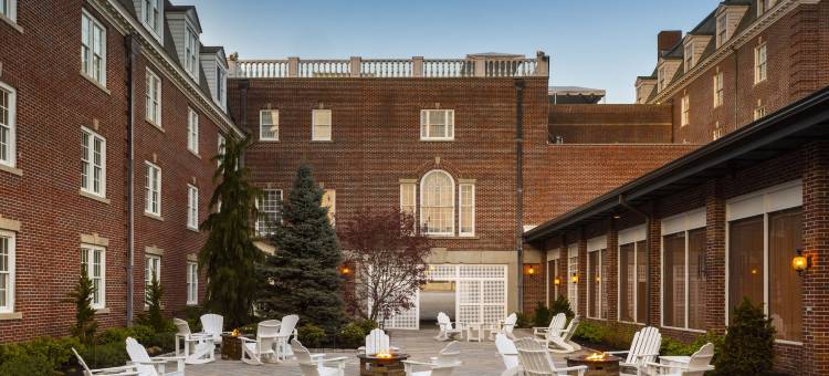 维京酒店(Hotel Viking)图片