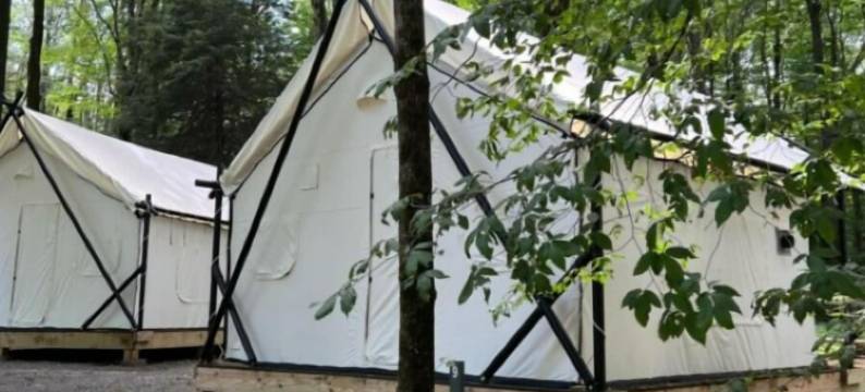 Ferncrest露营地(Ferncrest Campground)图片