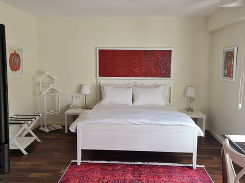 Pertevniyal Aziziye 酒店