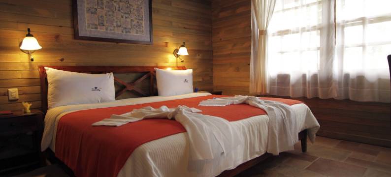 芬卡汉堡拉鲁塔德尔咖啡酒店(Finca Hamburgo la Ruta del Cafe)图片