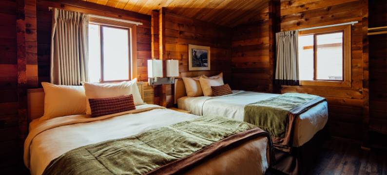 迪纳利小屋旅馆(Denali Cabins)图片