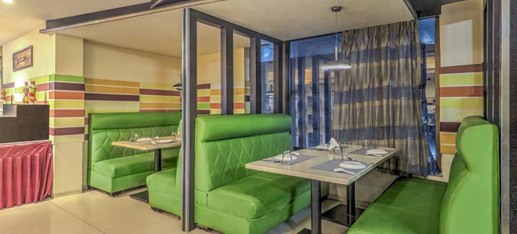 Treebo 高级大都会(Treebo Premium Metropolis)图片